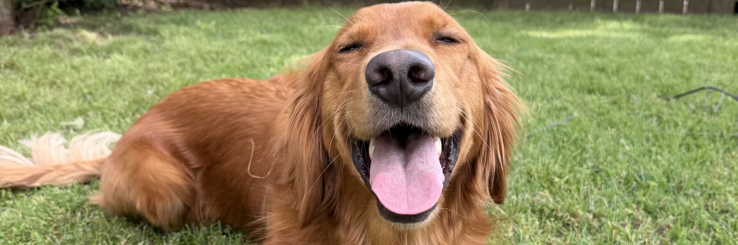 HeidiVincent12's profile banner image