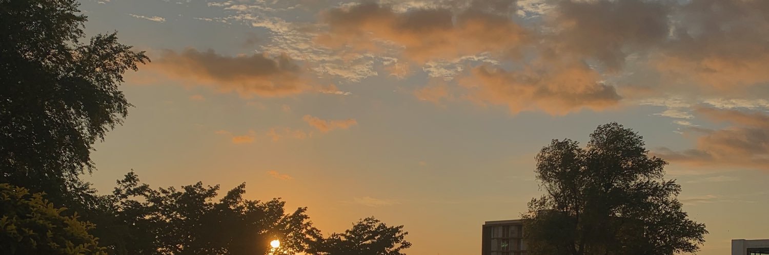 isnotyourvane's profile banner image