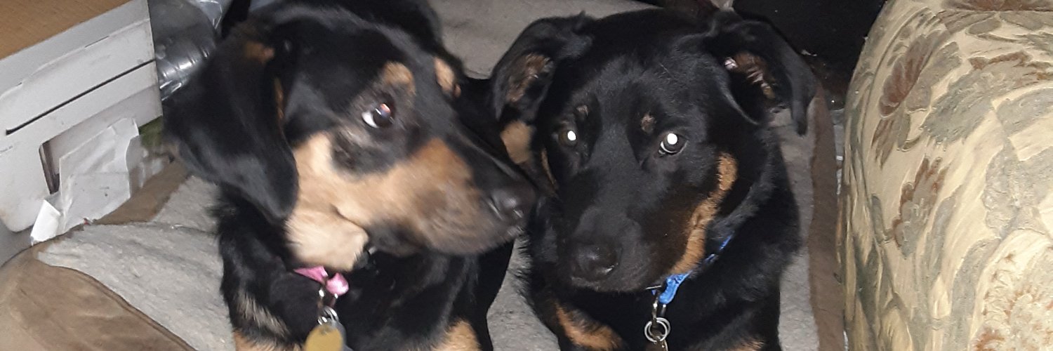 Denny Sandberg is now on BlueSky. banner