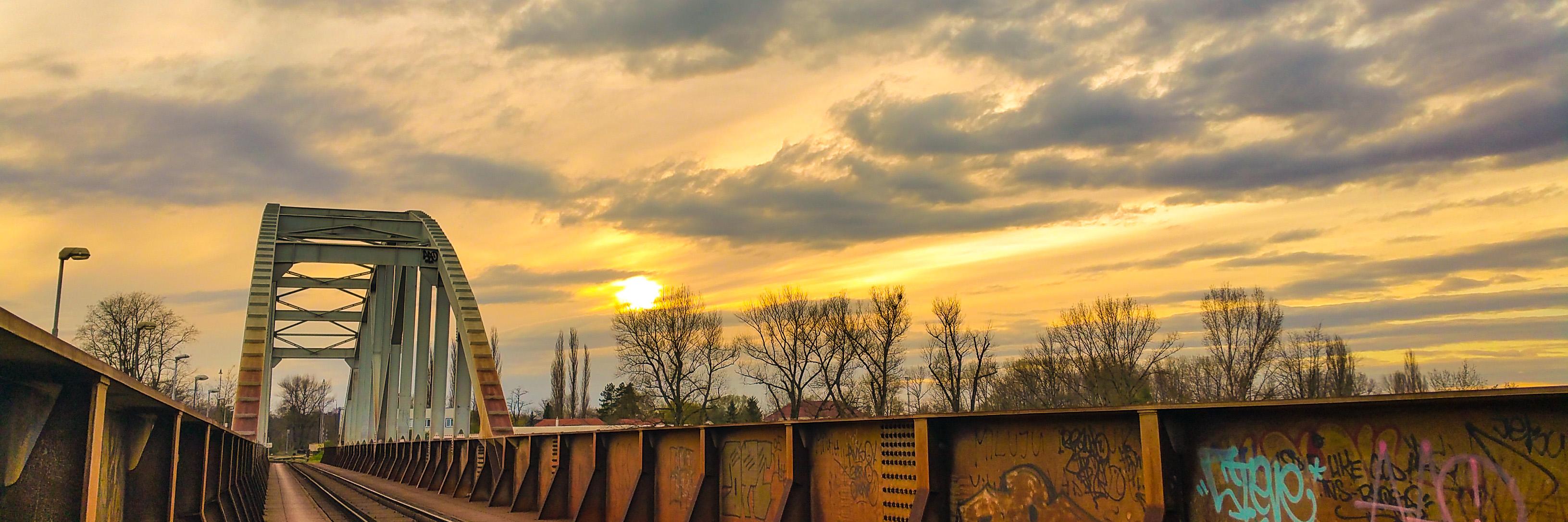 mojeNera's profile banner image