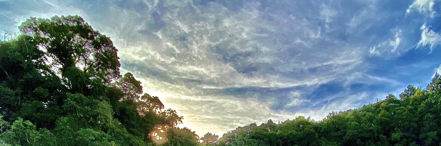 FrankeCarlos's profile banner image