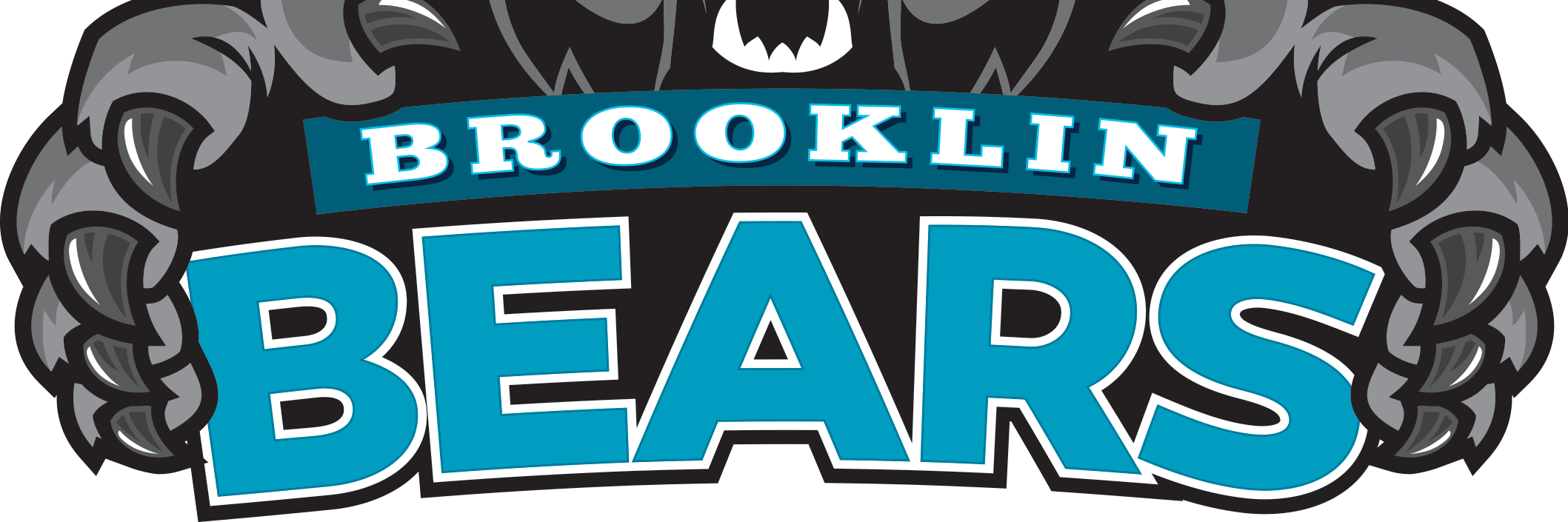 brooklinhsguide's profile banner image