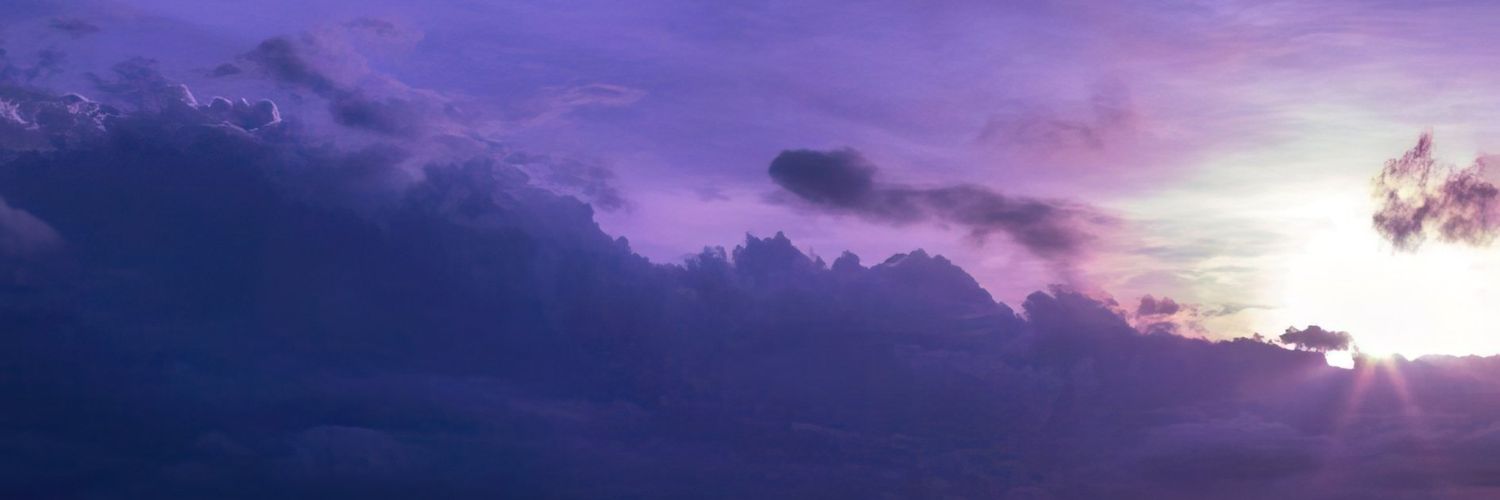 fleur1327's profile banner image