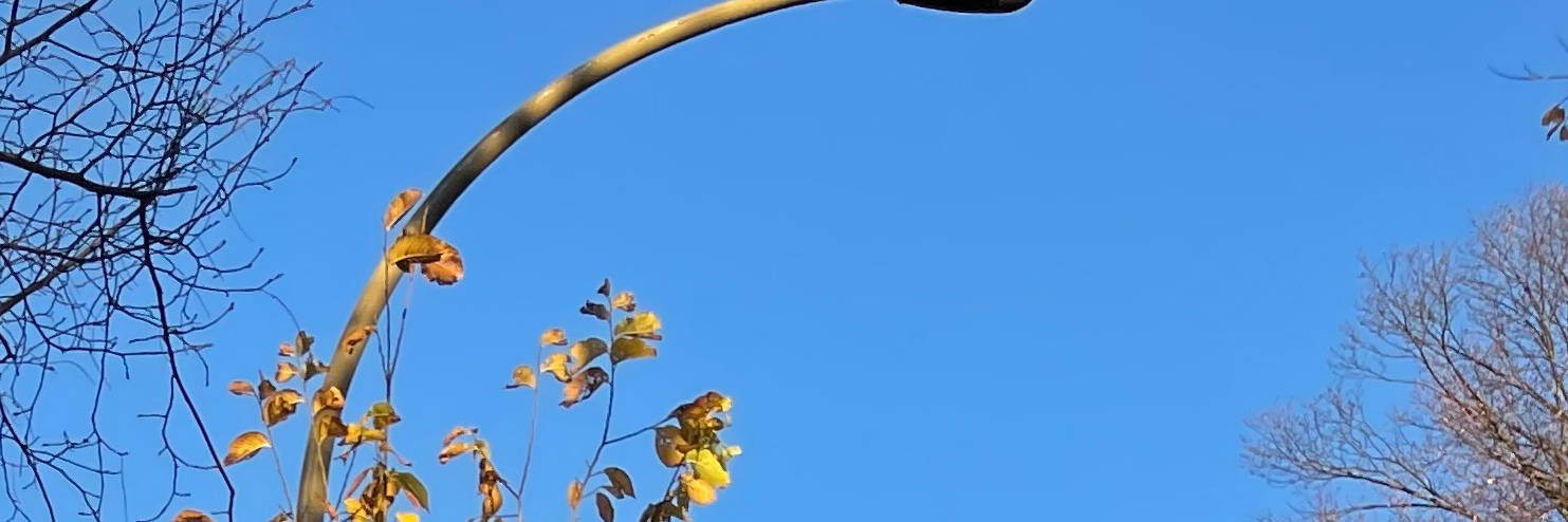 Iam_Gay91's profile banner image