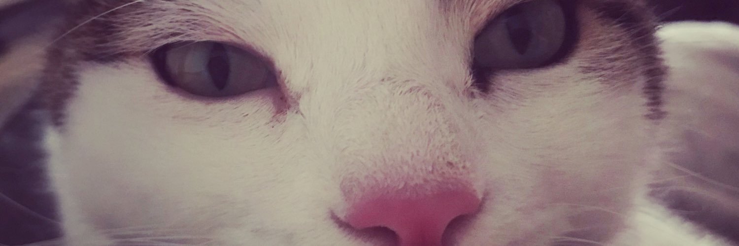 vikodsok's profile banner image