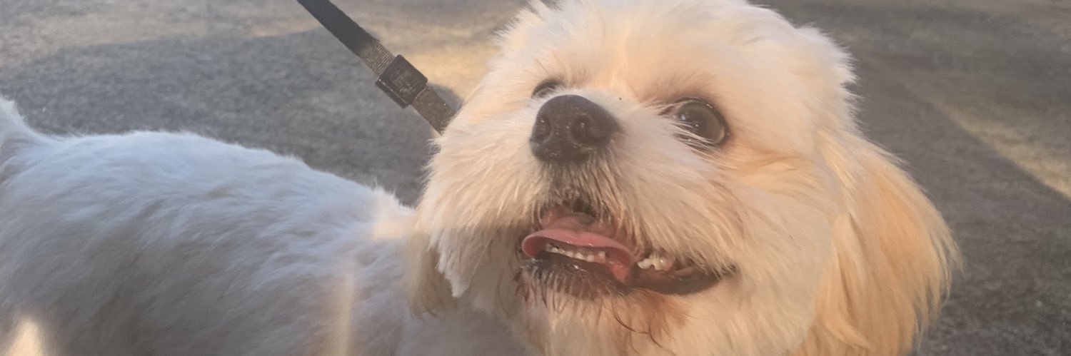 jaceykwarren's profile banner image