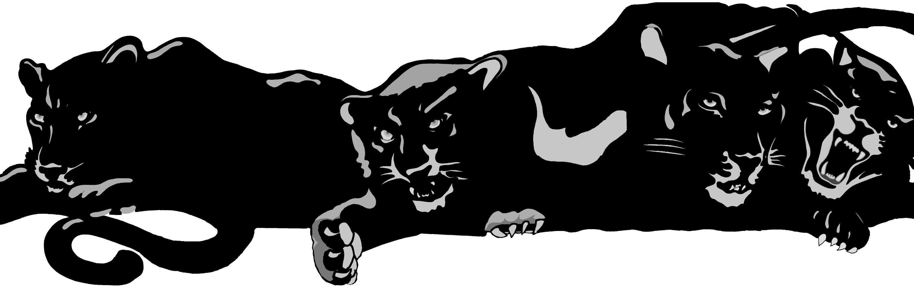 DVHSActivities's profile banner image