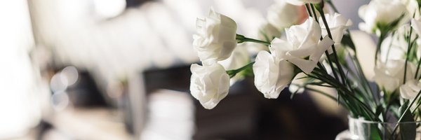 lisaraquet Profile Banner