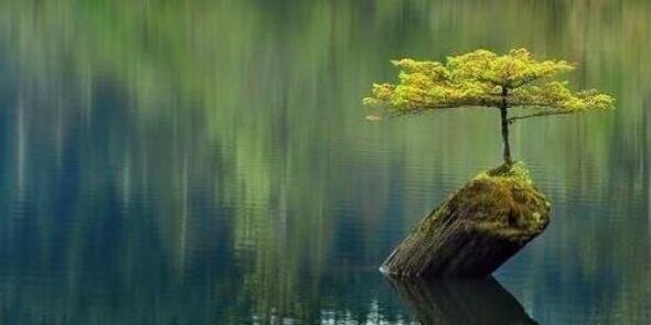 NazliAydinn's profile banner image