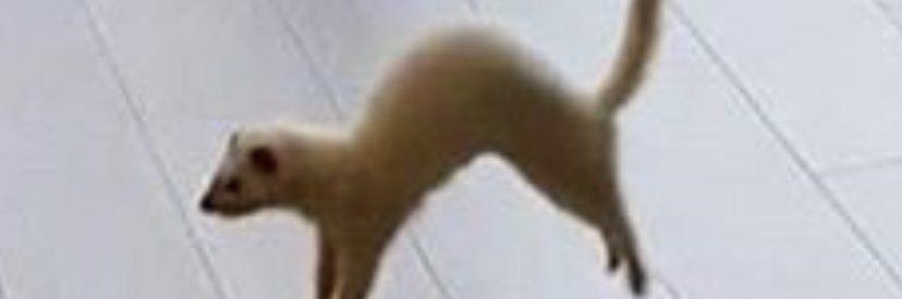 ComedyBarn_King's profile banner image