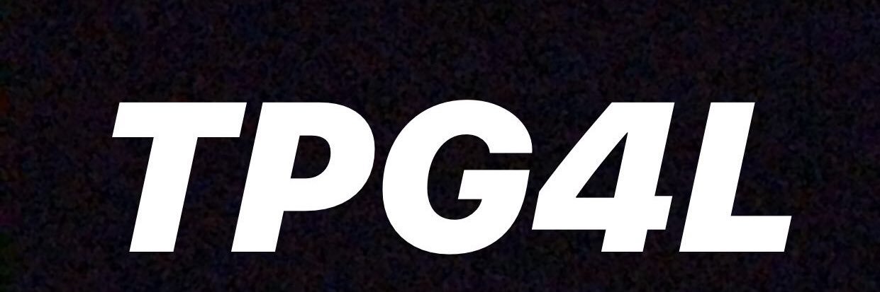 SHANE “Hollywood” HOOKS banner