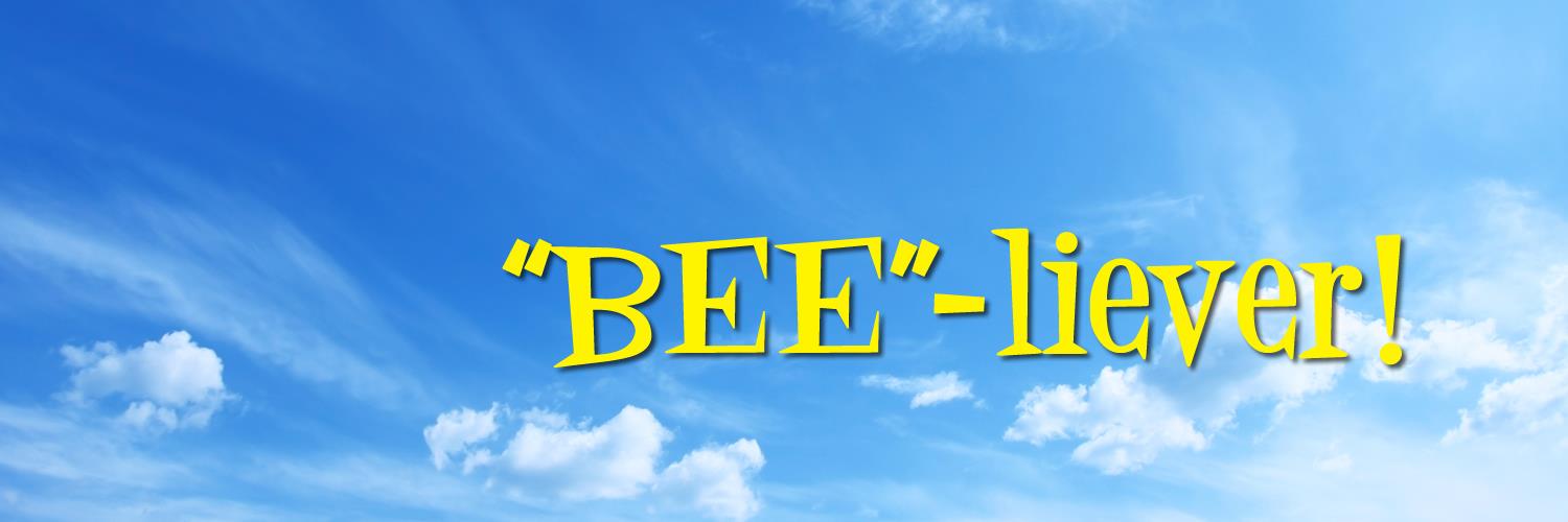 Lilybeeliever's profile banner image