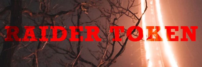 _RaiderToken's profile banner image