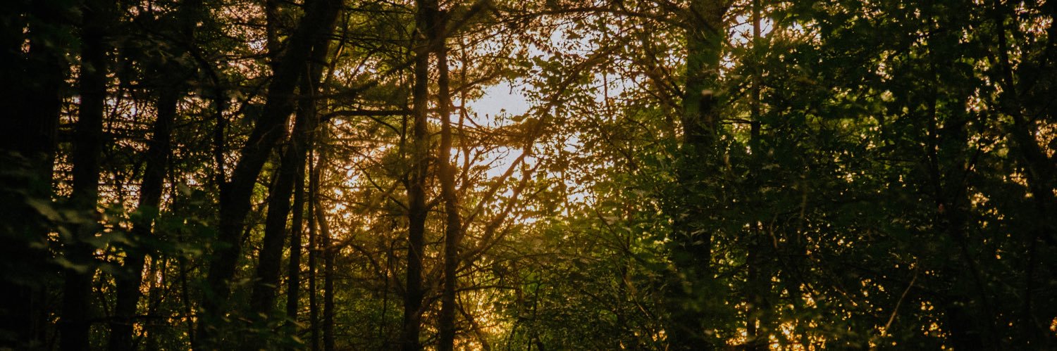 WPIHuntTruth's profile banner image
