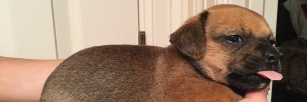 heyitsbecky_'s profile banner image