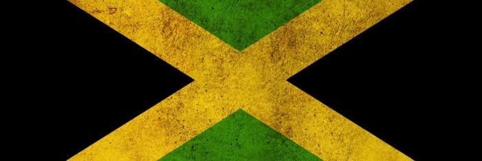 Claude Mckay banner