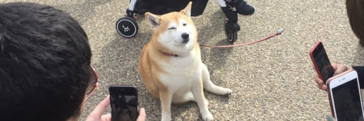 Aidanchaddy's profile banner image