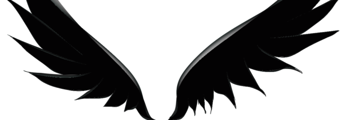 liedama's profile banner image