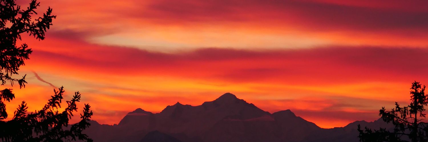 JolyLaury's profile banner image