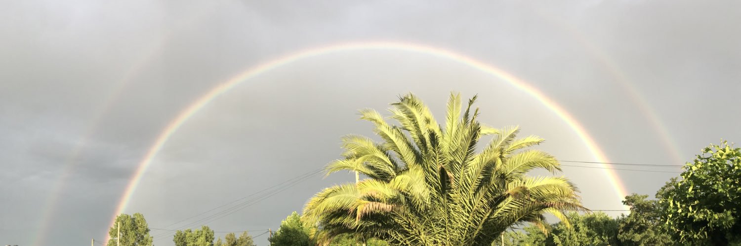 brisamoscoloni2's profile banner image