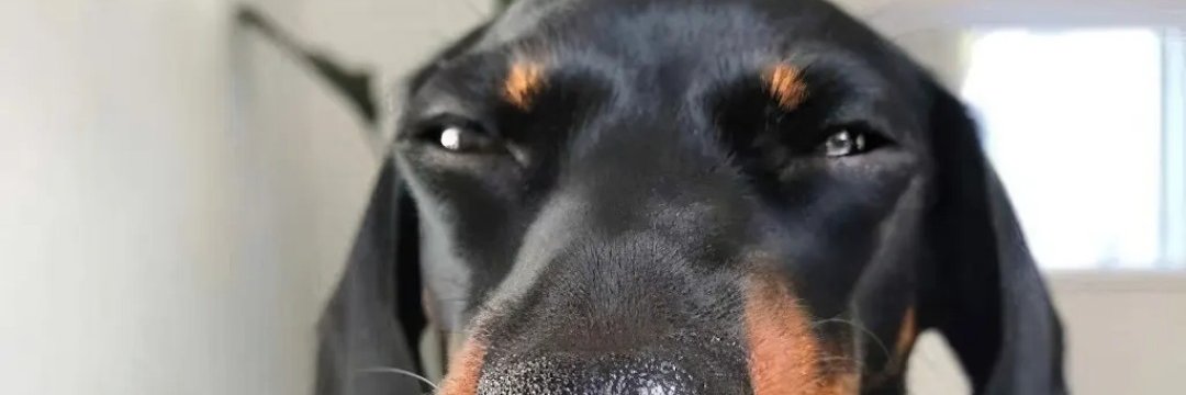musterader's profile banner image