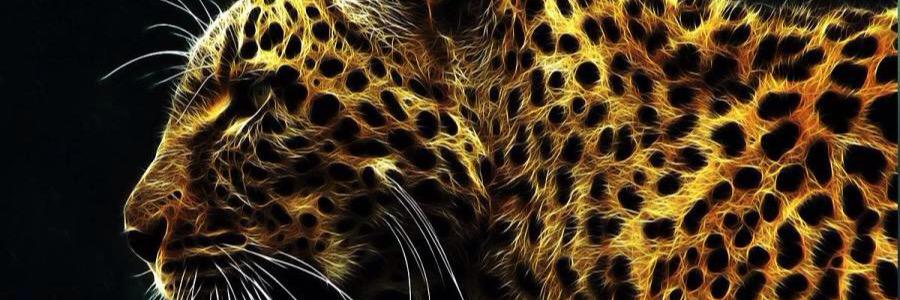 KILICBEY___'s profile banner image