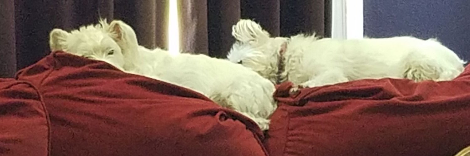 ashesace's profile banner image