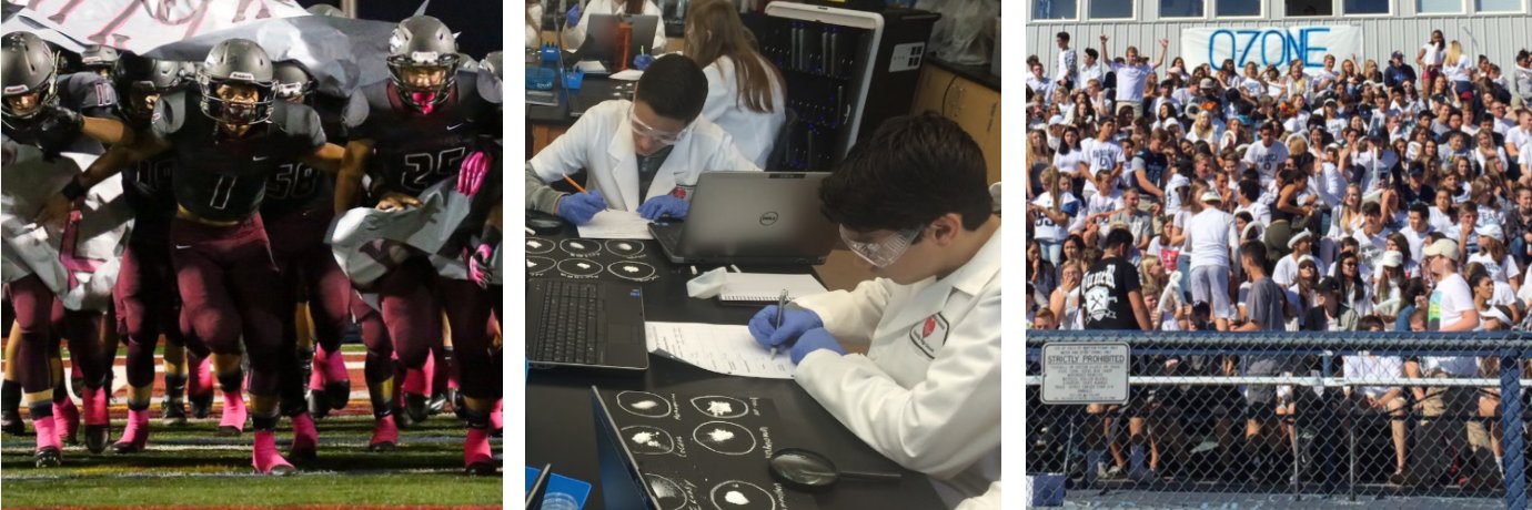 Roseville Joint UHSD banner