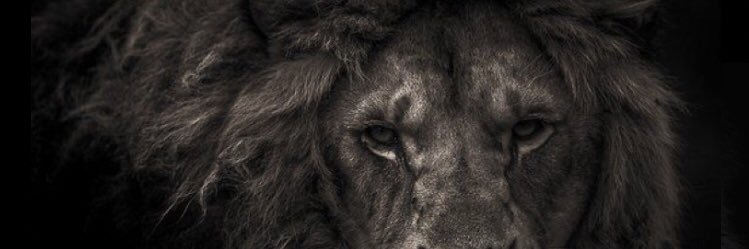 Coletta_7's profile banner image