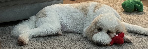 LearnBall Profile Banner