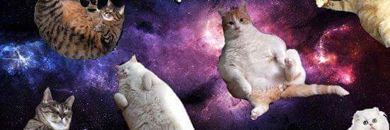 AntFGds's profile banner image
