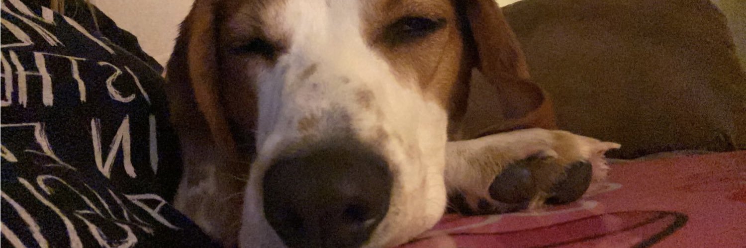 Destinee 🌻 banner