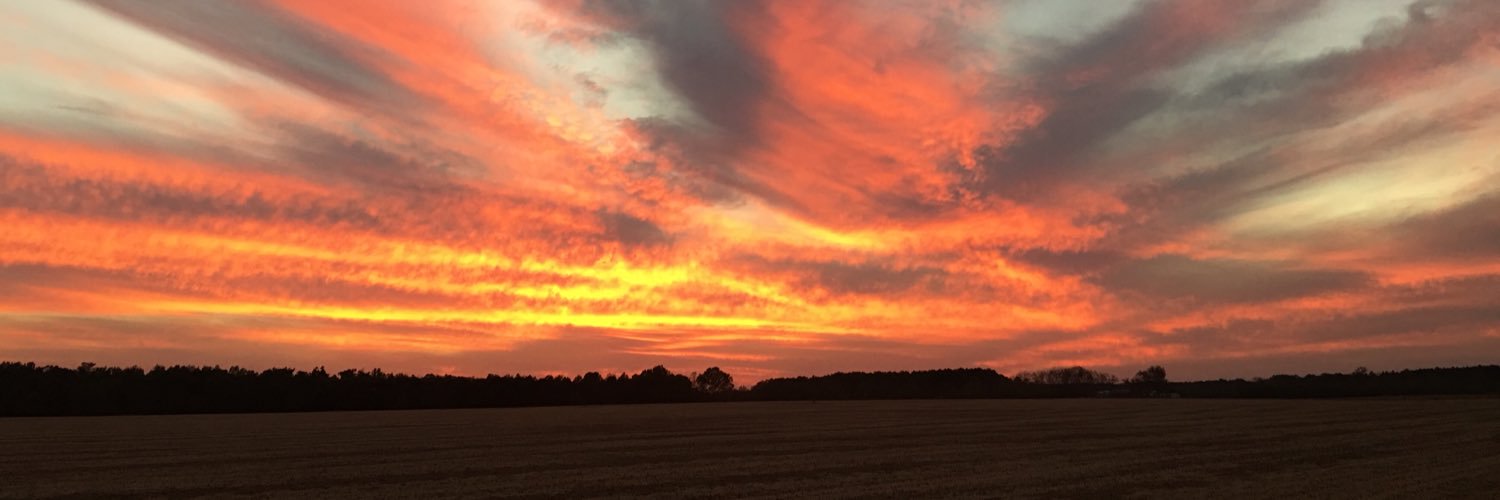 KauffmanKenley's profile banner image