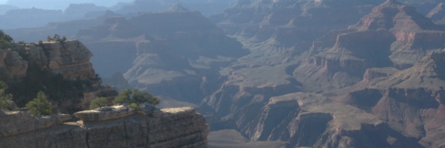 HarleyTamplin's profile banner image