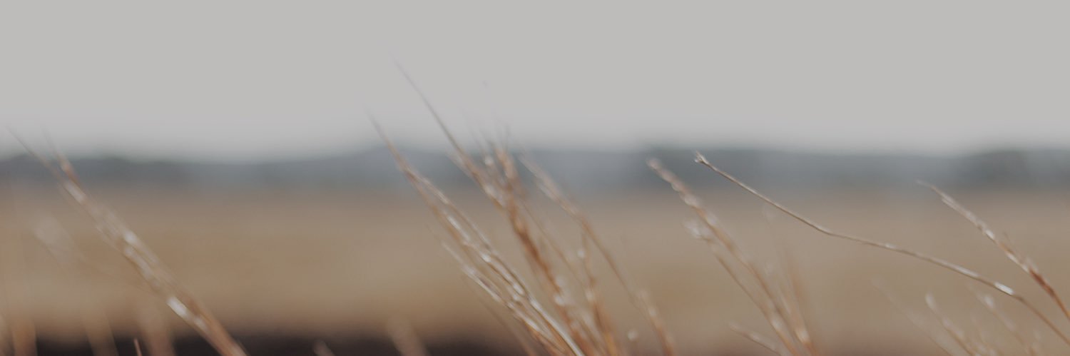 erdiogo's profile banner image