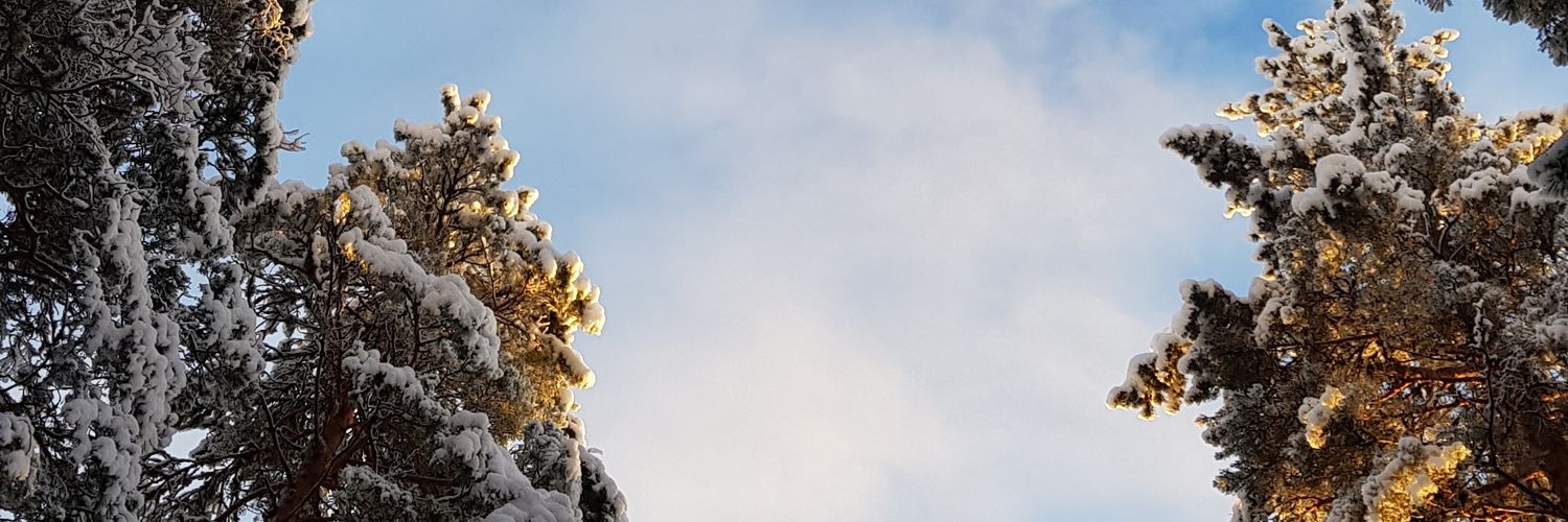 Tove Østlid banner