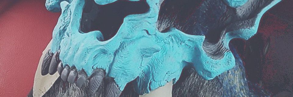 Amy 🇧🇸 banner