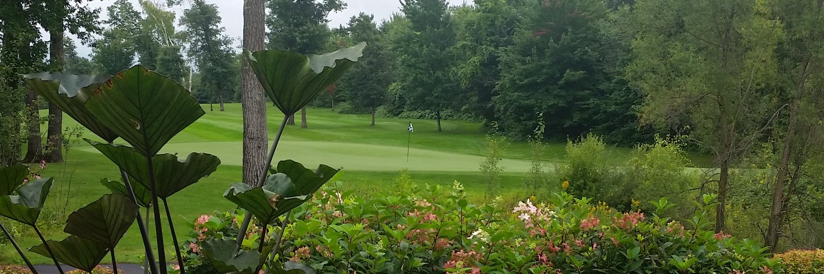 MrBusinessGolf's profile banner image