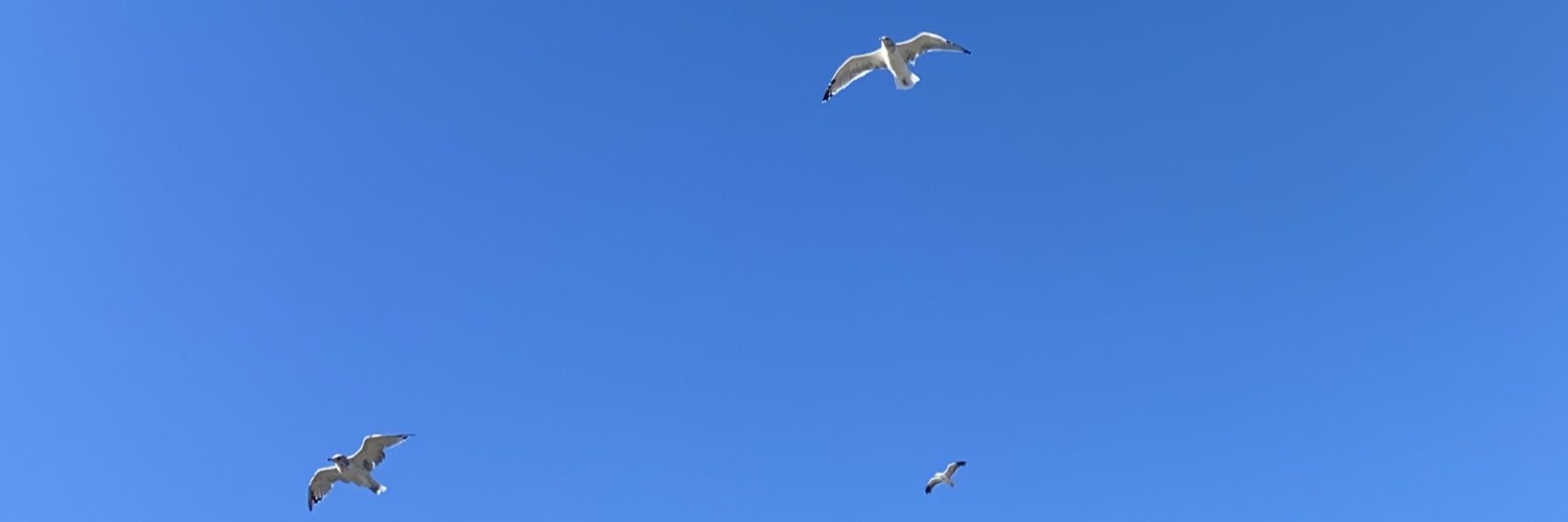 ShorteeRuff's profile banner image