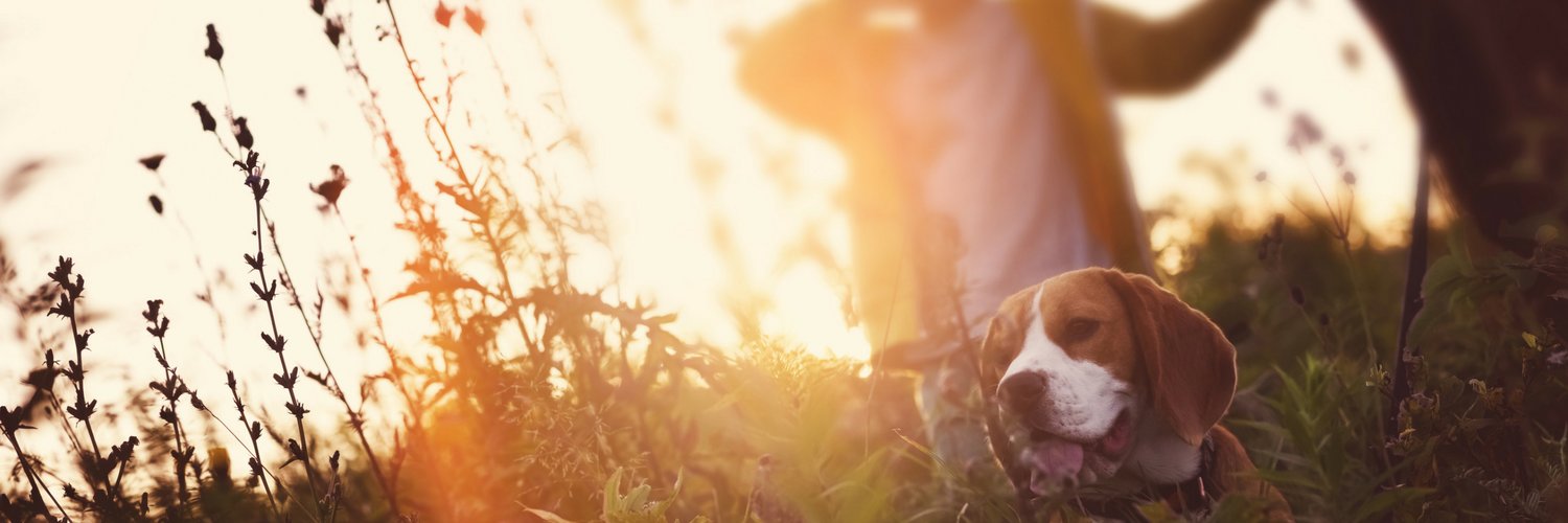 MainSourceBank's profile banner image