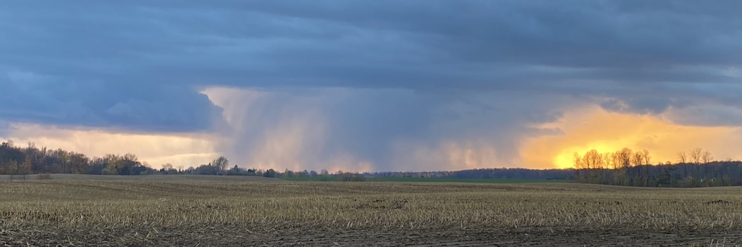 bafd42's profile banner image