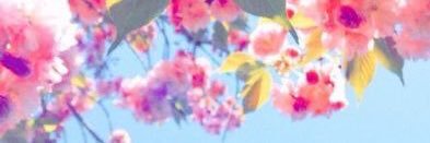 euxinha banner