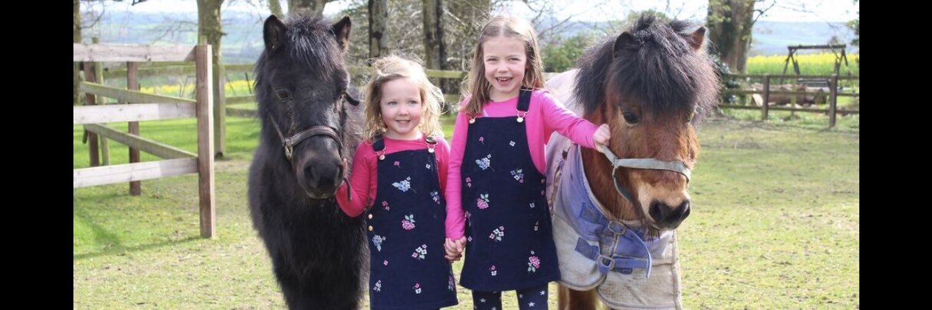 Russell ferris banner