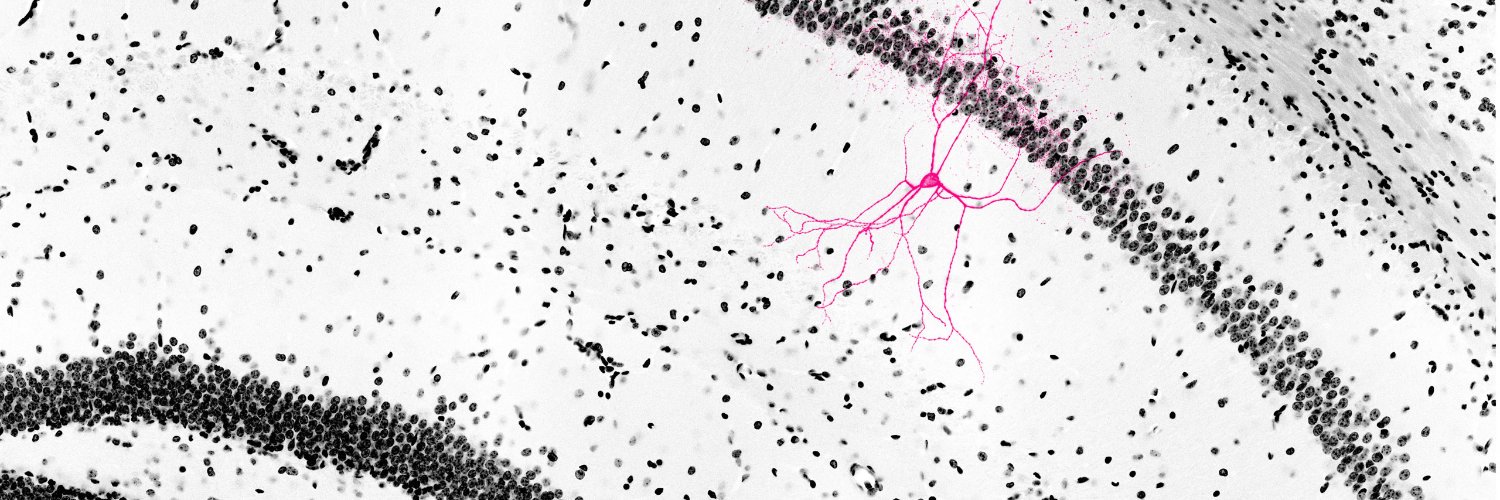 Andrew Luskin banner