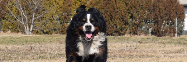 GergoB Profile Banner