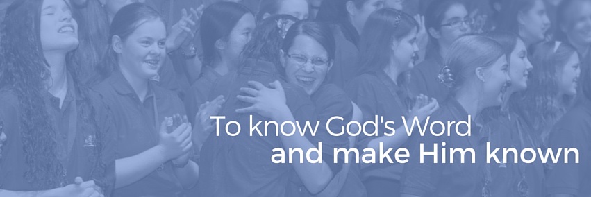 BibleBee's profile banner image