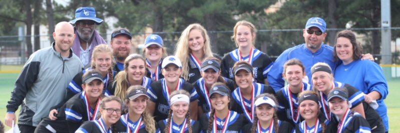 LGHS Softball banner