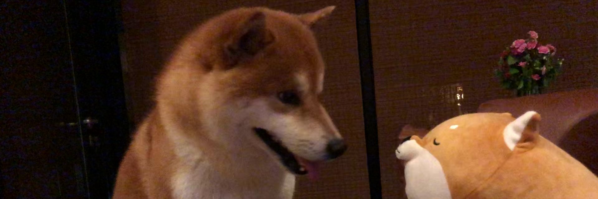 LinzhiQ's profile banner image