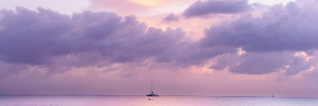 migdaIia's profile banner image