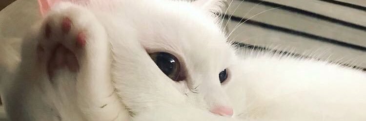 XxSebastian_'s profile banner image